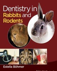Estella Bohmer - Dentistry in Rabbits and Rodents