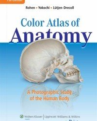 Johannes Rohen - Color Atlas of Anatomy