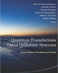 T. Nieuwenhuizen - Quantum Foundations and Open Quantum Systems (2014)