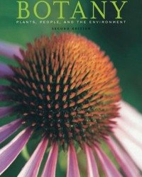 L. Berg - Introductory Botany