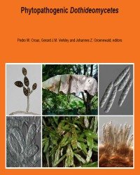 P. Crous - Phytopathogenic Dothideomycetes