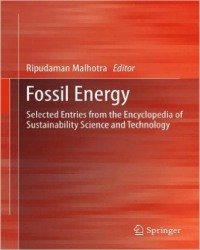 R. Malhotra - Fossil Energy (2013)