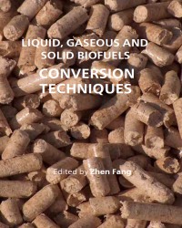 Z. Fang - Liquid Gaseous and Solid Biofuels Conversion Techniques (2013)