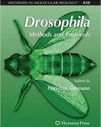 C. Dahmann - Drosophila (2008)