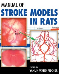 Y. Fischer - Manual of Stroke Models in Rats