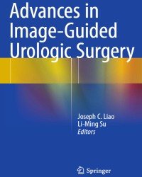 J. Liao - Advances in Image-Guided Urologic Surgery
