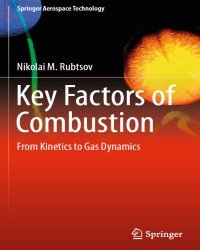 N. Rubtsov - Key Factors of Combustion (2017)