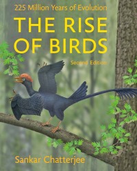 S. Chatterjee - The Rise of Birds (2015)