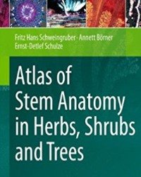F. Schweingruber - Atlas of Stem Anatomy in Herbs, Shrubs and Trees
