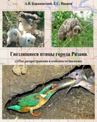 А. Барановский - Гнездящиеся птицы города Рязани (2016)