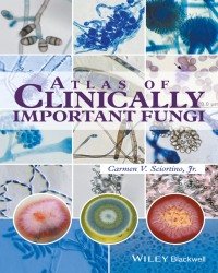 Carmen V. Sciortino - Atlas of Clinically Important Fungi (2017)