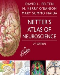 David L. Felten - Netters Atlas of Neuroscience (Third edition)