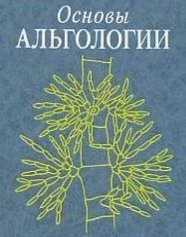 А. Охапкин - Основы альгологии