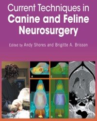 Andy Shores - Current Techniques in Canine and Feline Neurosurgery (2017)