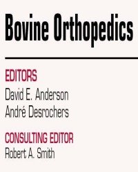 David Anderson - Bovine Orthopedics