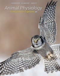 Lauralee Sherwood - Animal Physiology (Second edition)