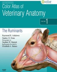 Raymond R. Ashdown - Color Atlas of Veterinary Anatomy. The Ruminants