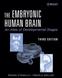 F. Muller - The Embryonic Human Brain (Third edition)