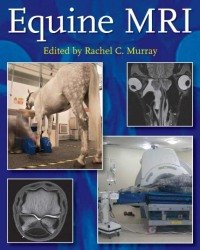 R. Murray - Equine MRI
