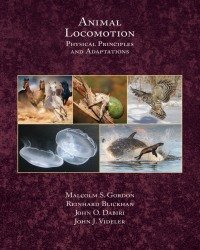 M. Gordon - Animal Locomotion (2017)