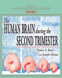 Shirley A. Bayer - Atlas of Human Central Nervous System Development (5 Volume set) — изображение 4