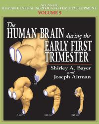 Shirley A. Bayer - Atlas of Human Central Nervous System Development (5 Volume set) — изображение 6