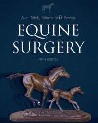Jorg Auer - Equine Surgery (2019)