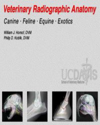 William Hornot - Veterinary Radiographic Anatomy (Программа)