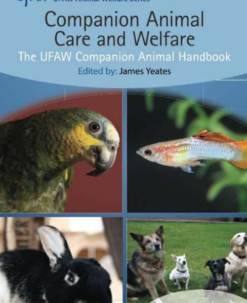James yeates companion animal care and welfare