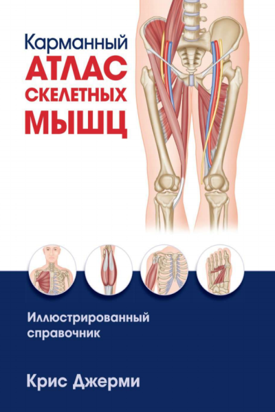 Карманный атлас скелетных мышц (крис джерми)