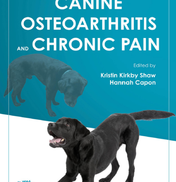 Kristin shaw canine osteoarthritis and chronic pain
